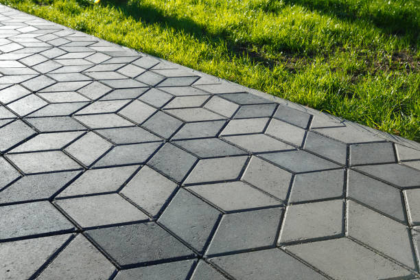 Best Affordable Driveway Paving  in Wesson, MS